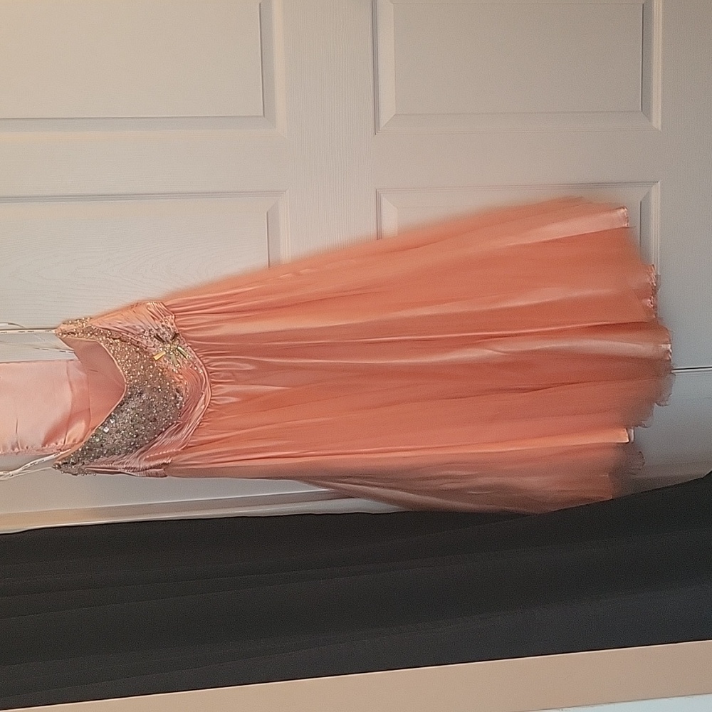 Juliet Women's Size XXL (See description for details on size) Coral Formal Dress